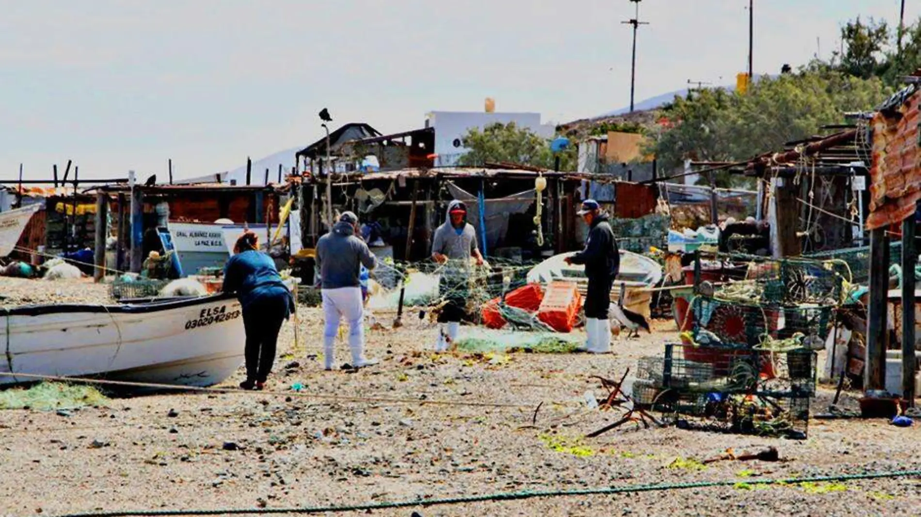 Seguro de vida pescadores BCS